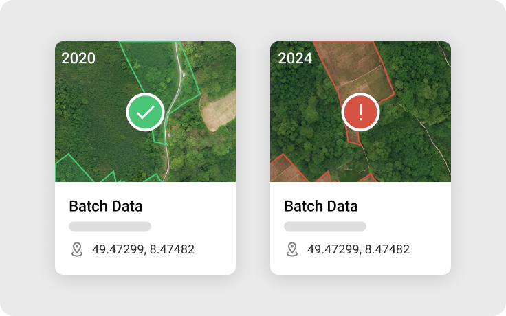 Deforestation Analysis