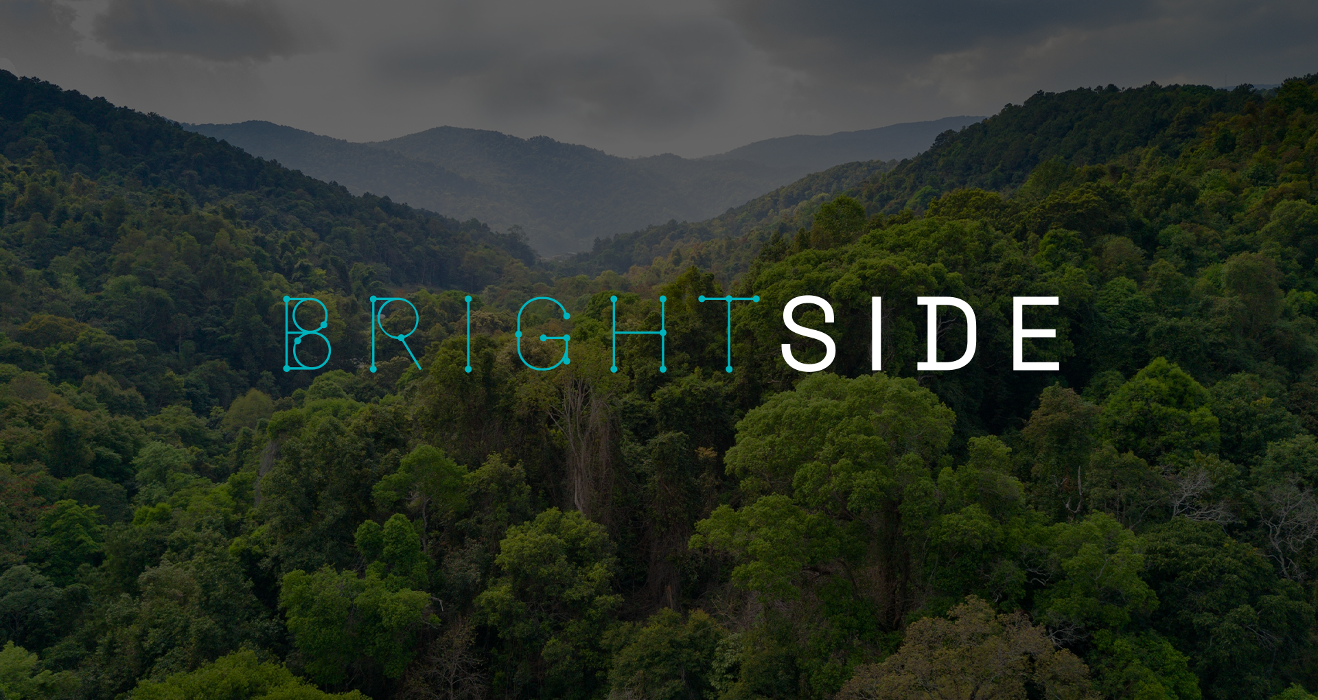 Banner Blog Brightside 02a