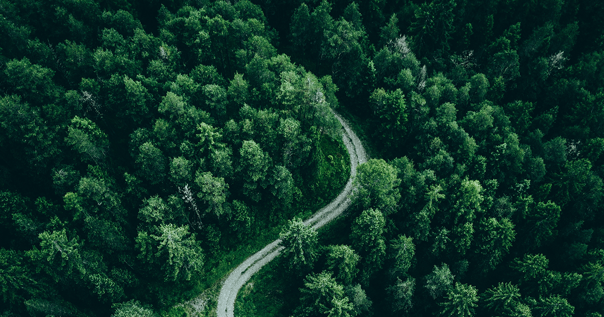 Forest_Sustainability Survey Report