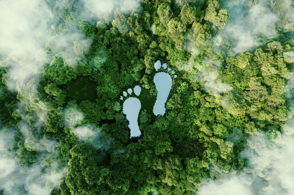 carbon footprint - image of footprint overlaid on a green forest background