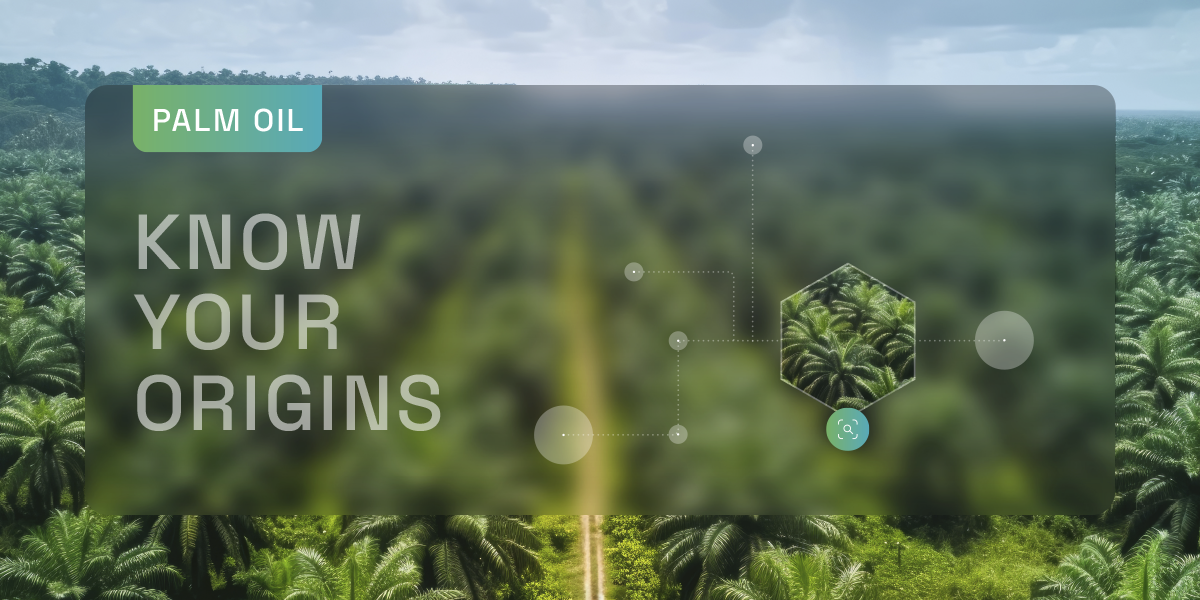 Palm oil blog_1.png