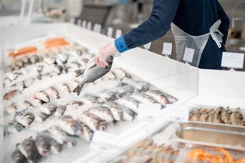 b94b2c1fa59e-Fish.jpeg.webp