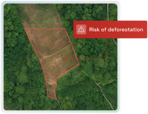 Risk of Deforestation.png