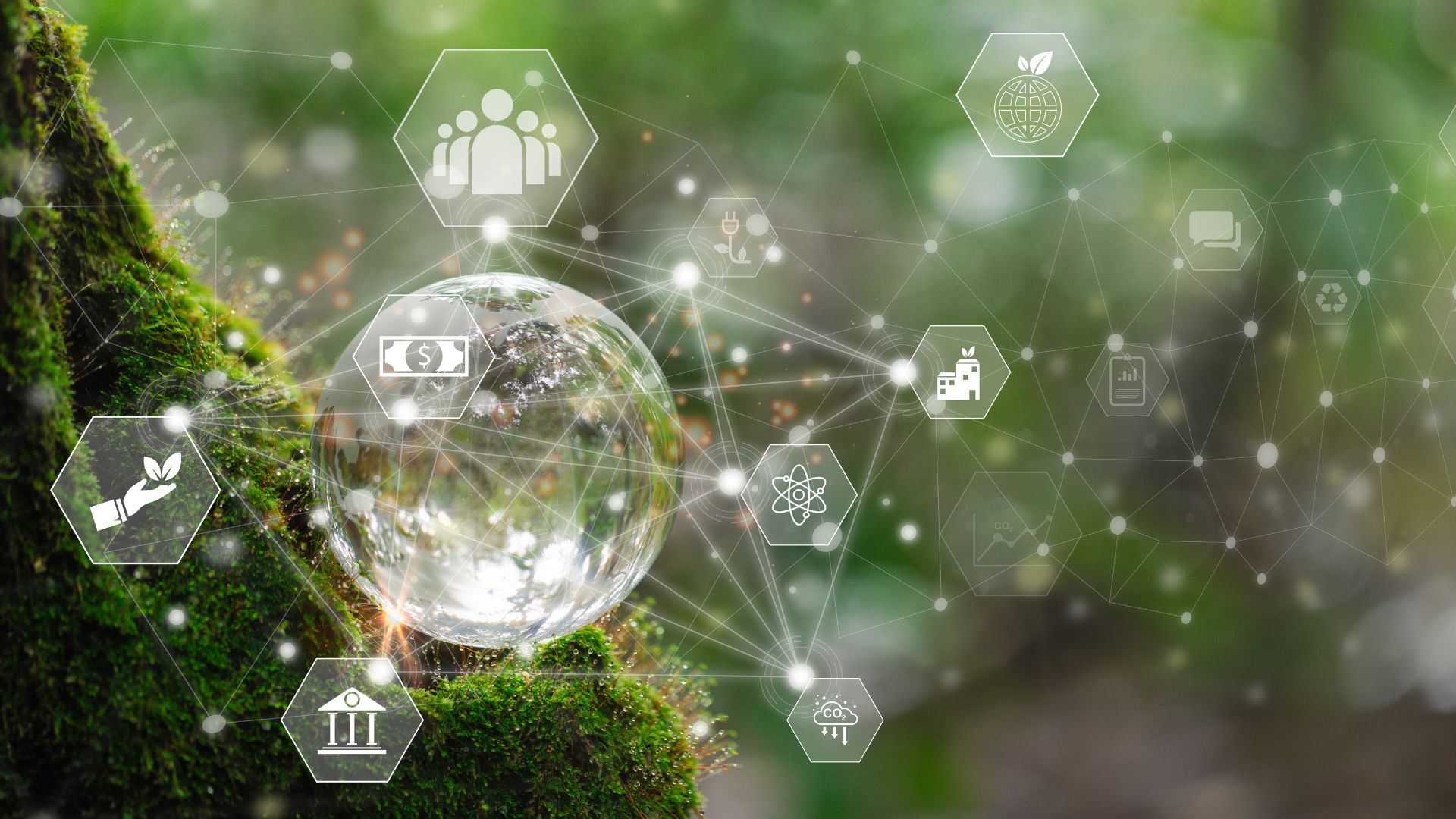 CSRD Environment Data