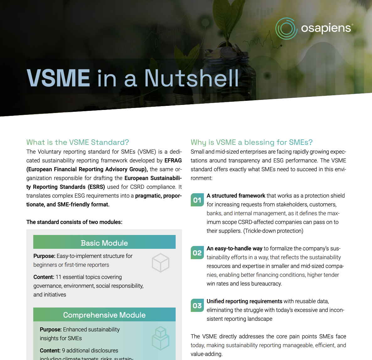 Preview image for the guide "VSME in a Nutshell"